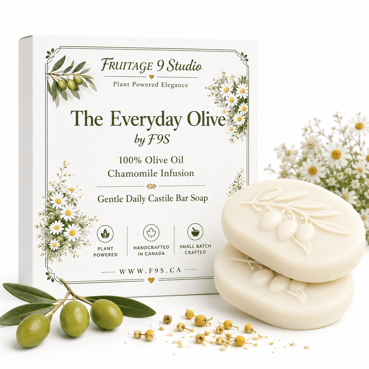 The Everyday Olive by f9s - Fruitage 9 Studio